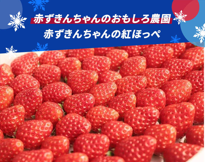 赤ずきんちゃんのおもしろ農園 赤ずきんちゃんの紅ほっぺ