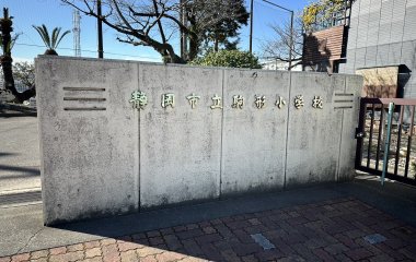 普及No.201【REVSキャラバン】静岡市立駒形小学校にてタグラグビー教室を実施いたしました