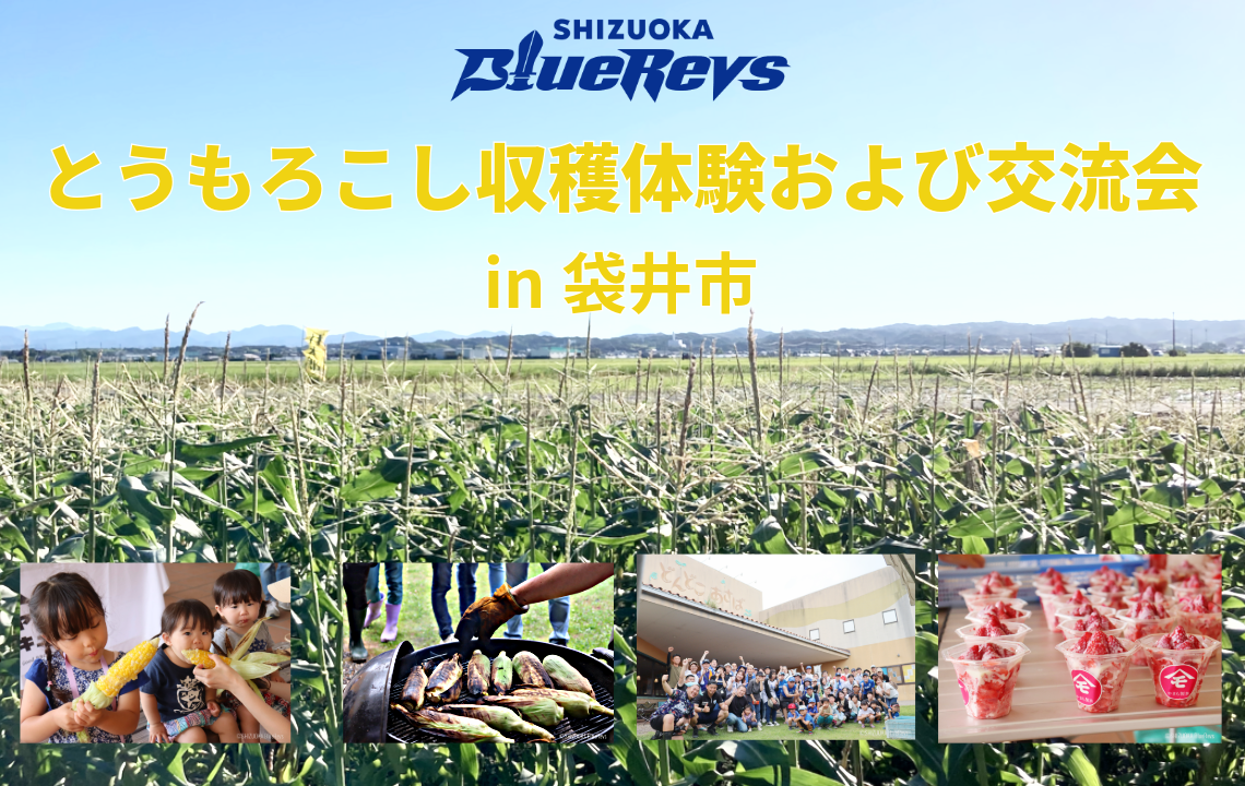 とうもろこし収穫体験および交流会を今年も開催