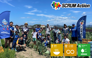 【SCRUM Action】7/16(日)海老芋農業体験を実施しました　＜No. 2023-2024_3＞